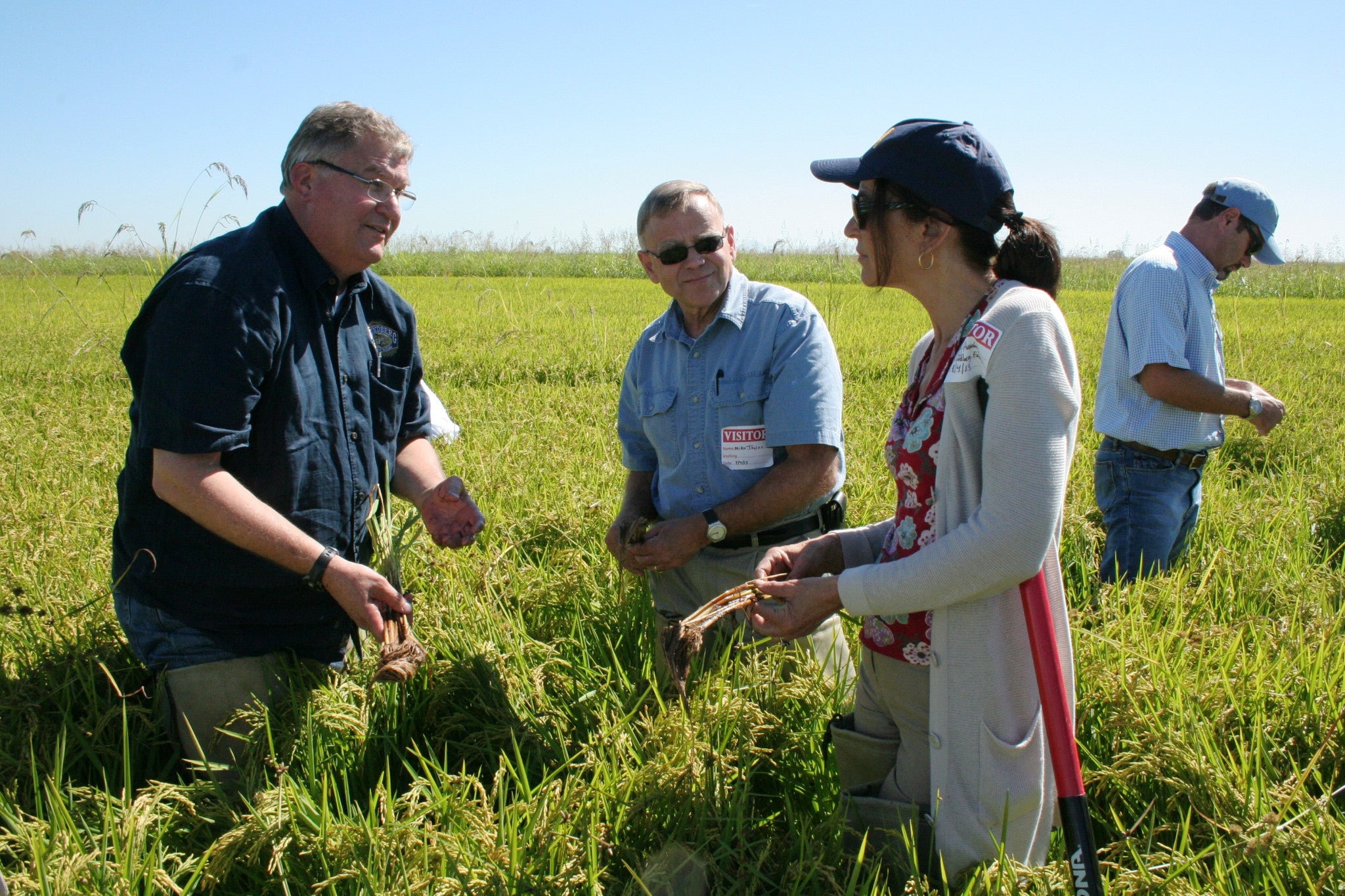 Governor to Tour Central Valley Rice Farms